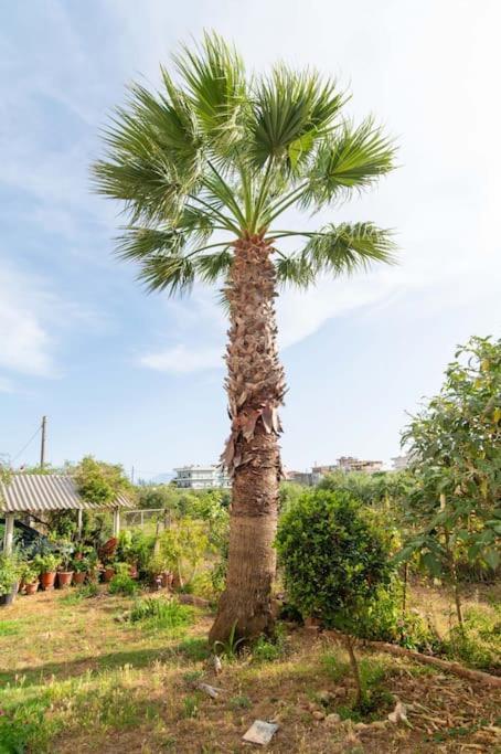 Apartmán Dream House Preveza Exteriér fotografie